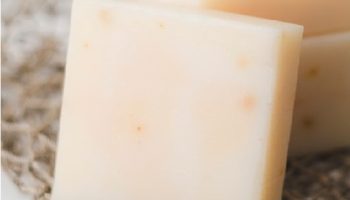 LABRADORNIKOS.COM -SURSE DE CALCIU - BRANZA