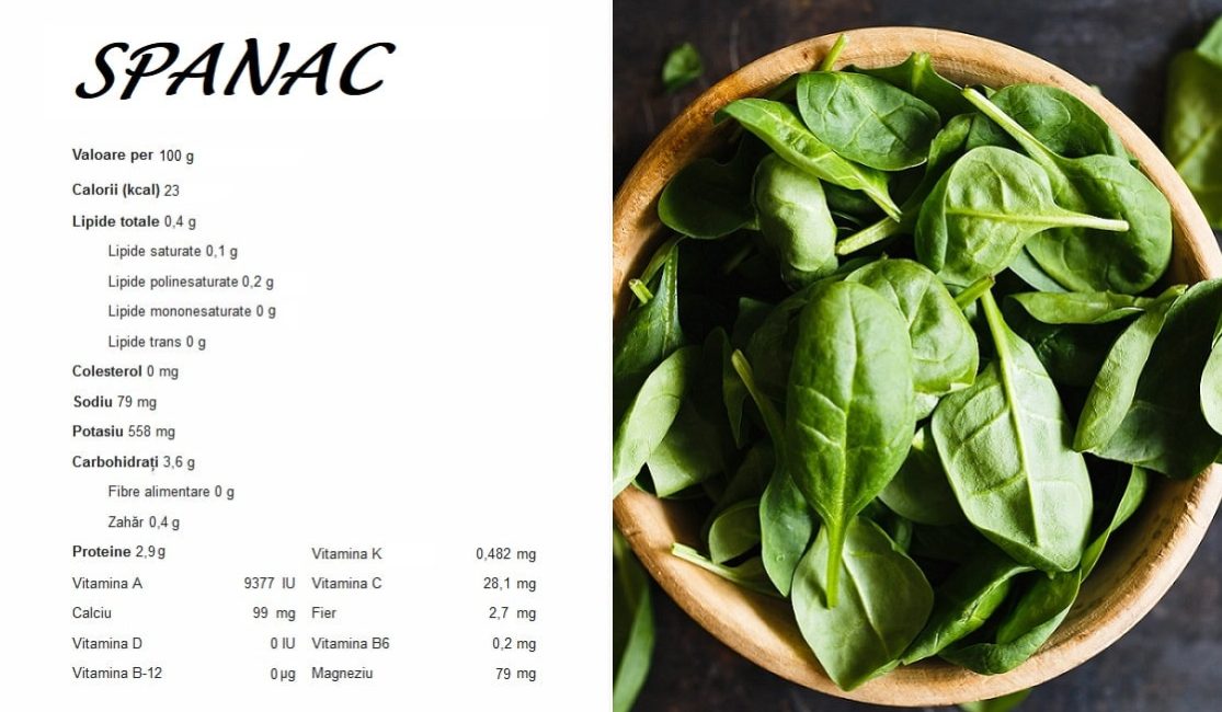 LABRADORNIKOS.COM - SURSE DE VITAMINA K - SPANAC