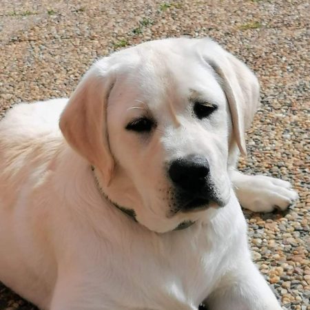 photo_2024-01-13_17-03-18